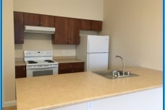 Picture8